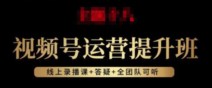 视频号运营提升班：视频号起号逻辑，视频号选品技巧及带货-一起网赚吧