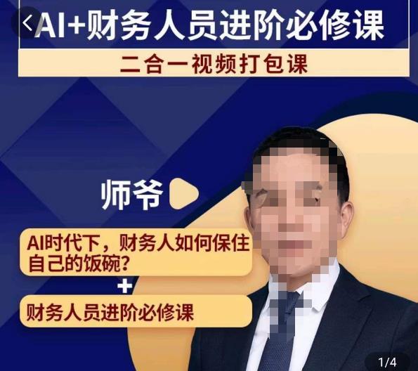 AI+财务人员进阶必修课二合一视频打包课，财务人员进阶必修课-一起网赚吧