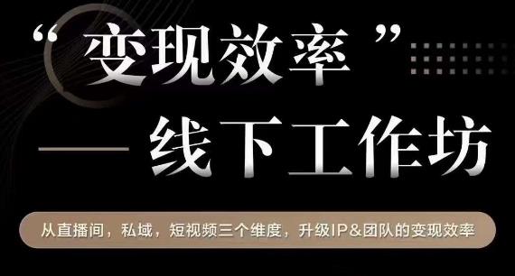 变现效率线下工作坊，从‮播直‬间、私域、‮视短‬频‮个三‬维度，升级IP和团队变现效率-一起网赚吧