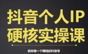 个人IP创富系统实战课，商业定位，流量打造，短视频变现，教你做个赚钱的抖音号-一起网赚吧