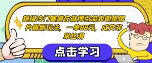 超级冷门赛道在微博引流卖明星图片最新玩法,一单88元,成交非常丝滑【揭秘】-一起网赚吧