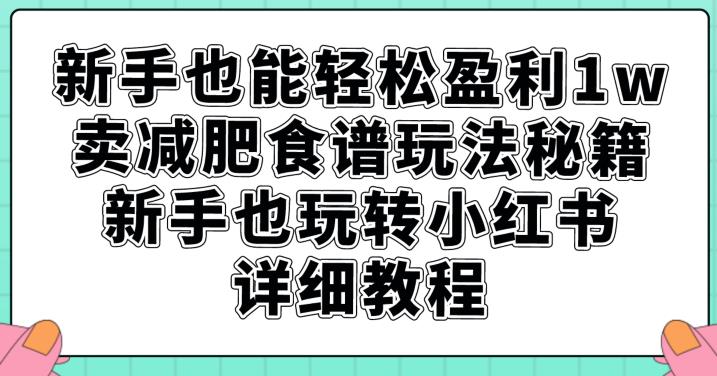 新手也能轻松盈利1w，卖减肥食谱玩法秘籍，新手也玩转小红书详细教程【揭秘】-一起网赚吧