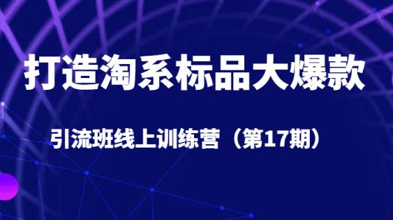 打造淘系标品大爆款引流班线上训练营（第17期）5天直播授课-一起网赚吧