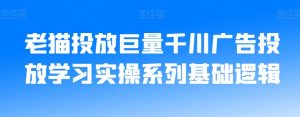 老猫投放巨量千川广告投放学习实操系列基础逻辑-一起网赚吧