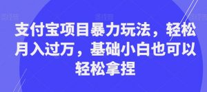 支付宝项目暴力玩法，轻松月入过万，基础小白也可以轻松拿捏【揭秘】-一起网赚吧