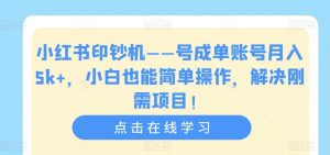 小红书印钞机——号成单账号月入5k+，小白也能简单操作，解决刚需项目【揭秘】-一起网赚吧