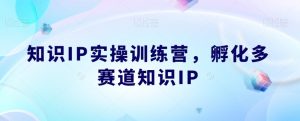 知识IP实操训练营，​孵化多赛道知识IP-一起网赚吧