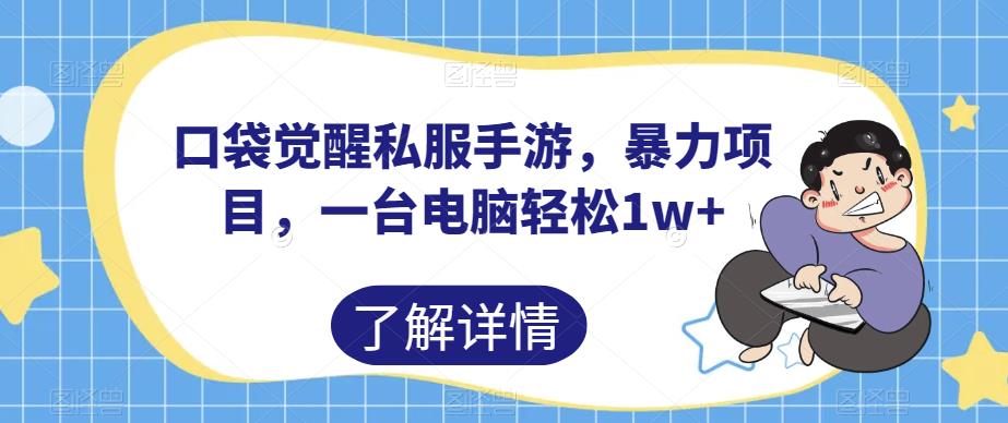 口袋觉醒私服手游，暴力项目，一台电脑轻松1w+【揭秘】-一起网赚吧