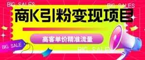 商K引粉变现项目，高客单价精准流量【揭秘】-一起网赚吧