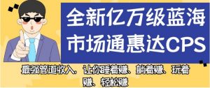 全新亿万级蓝海市场通惠达cps，最强管道收入，让你睡着赚、躺着赚、玩着赚、轻松赚【揭秘】-一起网赚吧