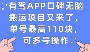 有驾APP口碑无脑搬运项目又来了,单号最高110块,可多号操作-一起网赚吧