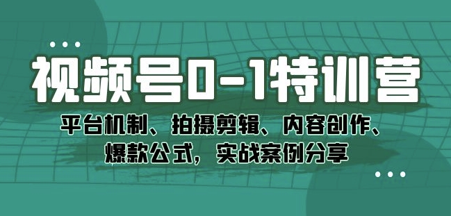 视频号0-1特训营：平台机制、拍摄剪辑、内容创作、爆款公式，实战案例分享-一起网赚吧