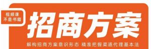 王昕招商方案，解构招商方案意识形态，精准把握渠道代理基本法-一起网赚吧