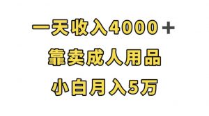 一天收入4000+，靠卖成人用品，小白轻松月入5万【揭秘】-一起网赚吧
