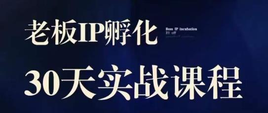 诸葛·2023老板IP实战课，实体同城引流获客，IP孵化必听-一起网赚吧