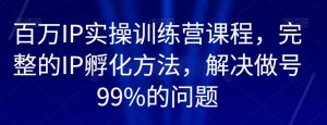 百万IP实操训练营课程，完整的IP孵化方法，解决做号99%的问题-一起网赚吧