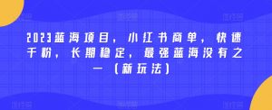 2023蓝海项目，小红书商单，快速千粉，长期稳定，最强蓝海没有之一（新玩法）-一起网赚吧