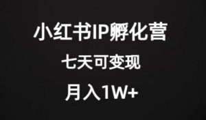 价值2000+的小红书IP孵化营项目,超级大蓝海,七天即可开始变现,稳定月入1W+-一起网赚吧