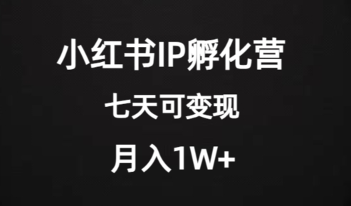 价值2000+的小红书IP孵化营项目，超级大蓝海，七天即可开始变现，稳定月入1W+-一起网赚吧
