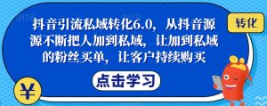 抖音引流私域转化6.0,从抖音源源不断把人加到私域,让加到私域的粉丝买单,让客户持续购买-一起网赚吧