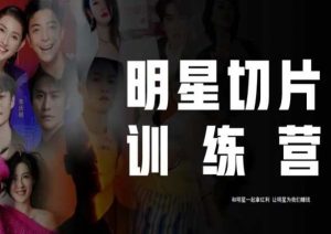 王子·明星切片线上训练营（2023），和明星一起拿红利，让明星为我们赚钱-一起网赚吧