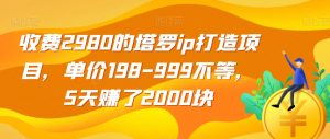 收费2980的塔罗ip打造项目，单价198-999不等，5天赚了2000块【揭秘】-一起网赚吧
