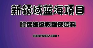 虚拟资源蓝海领域新项目，轻松日入800＋，附保姆级教程及资料-一起网赚吧
