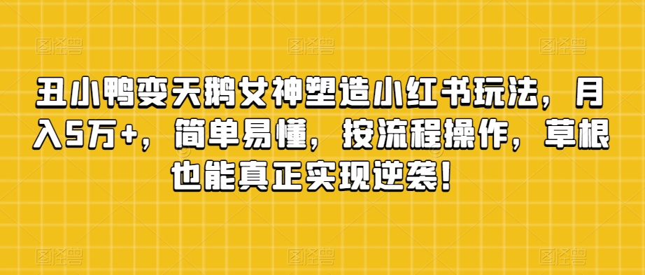 丑小鸭变天鹅女神塑造小红书玩法，月入5万+，简单易懂，按流程操作，草根也能真正实现逆袭！-一起网赚吧