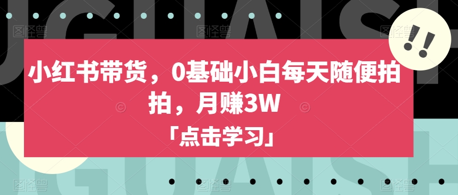 小红书带货，0基础小白每天随便拍拍，月赚3W【揭秘】-一起网赚吧