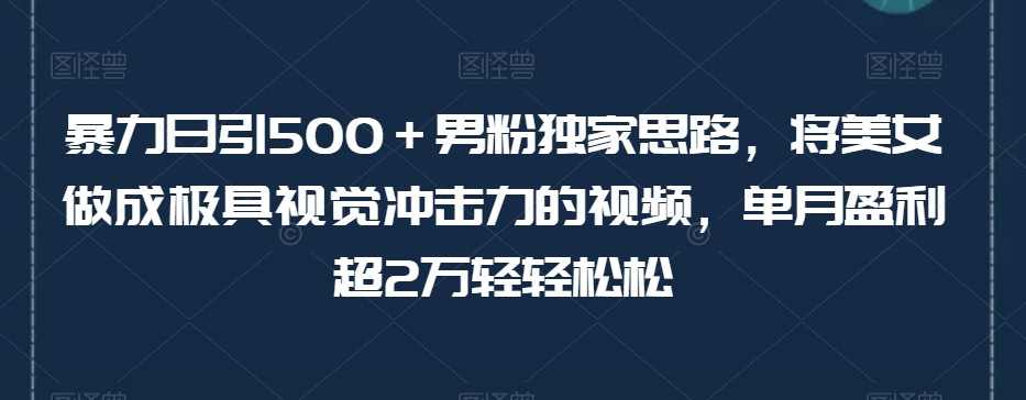 暴力日引500＋男粉独家思路，将美女做成极具视觉冲击力的视频，单月盈利超2万轻轻松松-一起网赚吧