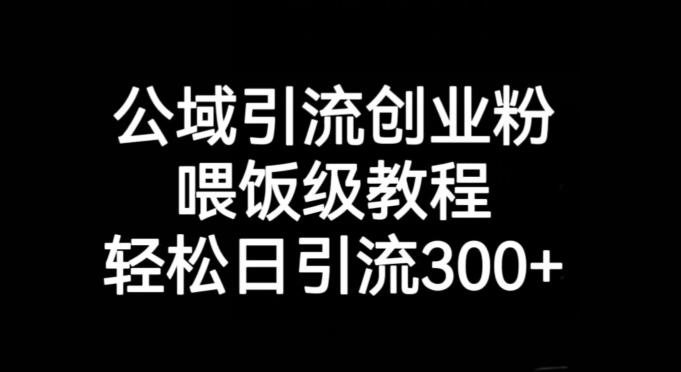 公域引流创业粉，喂饭级教程，轻松日引流300+【揭秘】-一起网赚吧