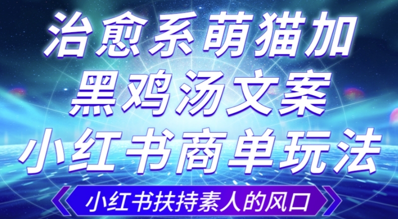 治愈系萌猫加+黑鸡汤文案，小红书商单玩法，3~10天涨到1000粉，一单200左右-一起网赚吧