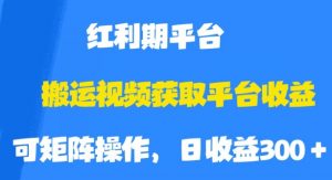 搬运视频获取平台收益,平台红利期,附保姆级教程【揭秘】-一起网赚吧