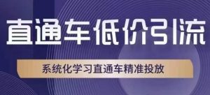 直通车低价引流课，系统化学习直通车精准投放-一起网赚吧