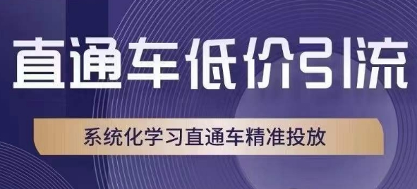 直通车低价引流课，系统化学习直通车精准投放-一起网赚吧