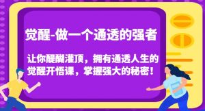 觉醒-做一个通透的强者,让你醍醐灌顶,拥有通透人生的觉醒开悟课,掌握强大的秘密!-一起网赚吧
