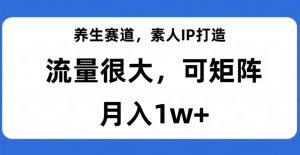 养生赛道，素人IP打造，流量很大，可矩阵，月入1w+【揭秘】-一起网赚吧