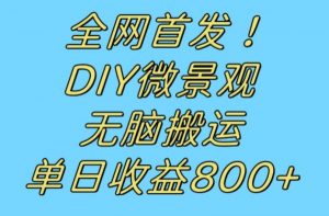 全网首发冷门赛道！DIY微景观，无脑搬运视频，日收益800+【揭秘】-一起网赚吧