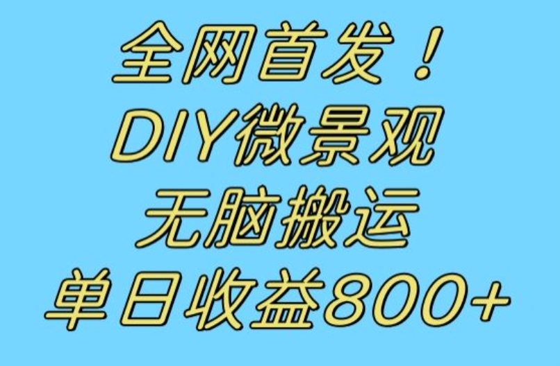 全网首发冷门赛道！DIY微景观，无脑搬运视频，日收益800+【揭秘】-一起网赚吧