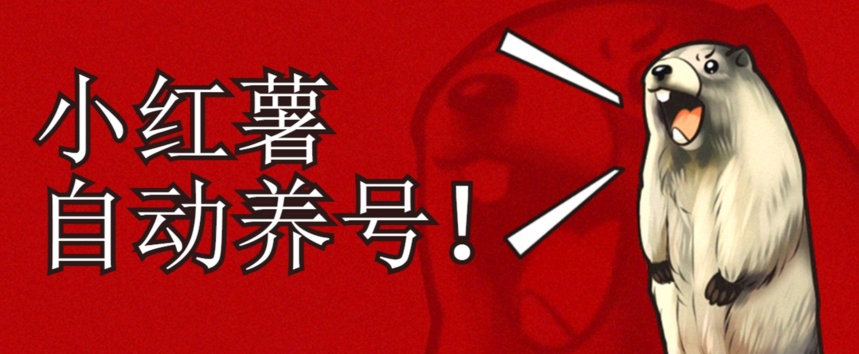 小红书养号秘籍，如何自动涨粉清晰系统标签打造高权重账号【揭秘】-一起网赚吧