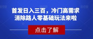 首发日入三百,冷门高需求消除路人零基础玩法来啦【揭秘】-一起网赚吧