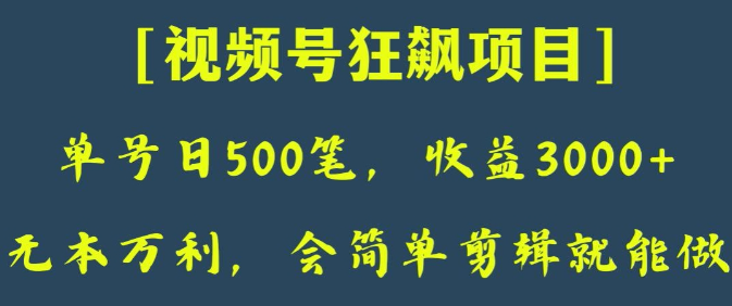 日收款500笔，纯利润3000+，视频号狂飙项目，会简单剪辑就能做【揭秘】-一起网赚吧