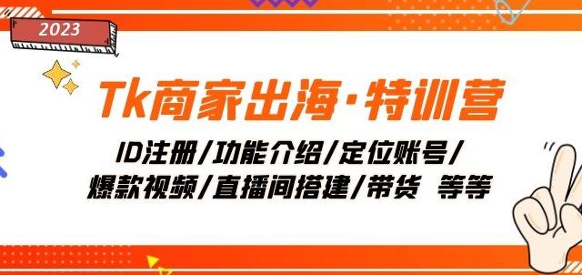Tk商家出海·特训营：ID注册/功能介绍/定位账号/爆款视频/直播间搭建/带货-一起网赚吧