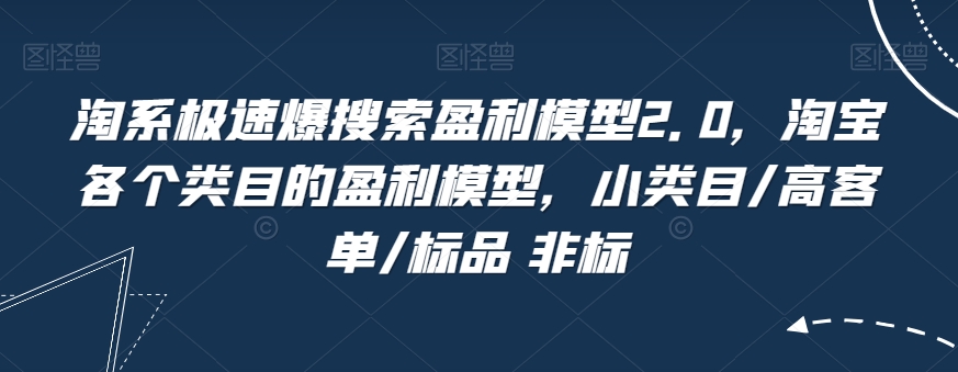 淘系极速爆搜索盈利模型2.0，淘宝各个类目的盈利模型，小类目/高客单/标品 非标-一起网赚吧