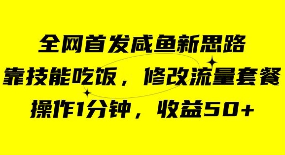 咸鱼冷门新玩法，靠“技能吃饭”，修改流量套餐，操作1分钟，收益50【揭秘】-一起网赚吧