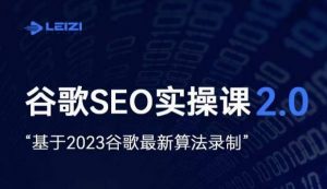 雷子·谷歌SEO 2.0实战课,独立站询盘自由必备,基于2023谷歌最新算法录制-一起网赚吧