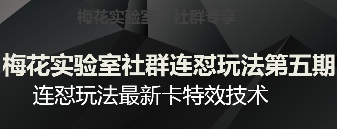梅花实验室社群连怼玩法第五期，视频号连怼玩法最新卡特效技术-一起网赚吧