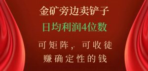金矿旁边卖铲子，赚确定性的钱，可矩阵，可收徒，日均利润4位数【揭秘】-一起网赚吧