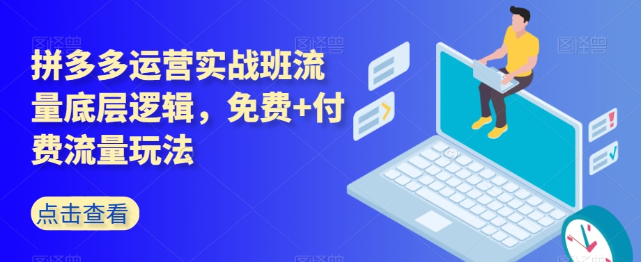 拼多多运营实战班流量底层逻辑，免费+付费流量玩法-一起网赚吧