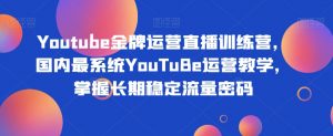 Youtube金牌运营直播训练营,国内最系统YouTuBe运营教学,掌握长期稳定流量密码-一起网赚吧